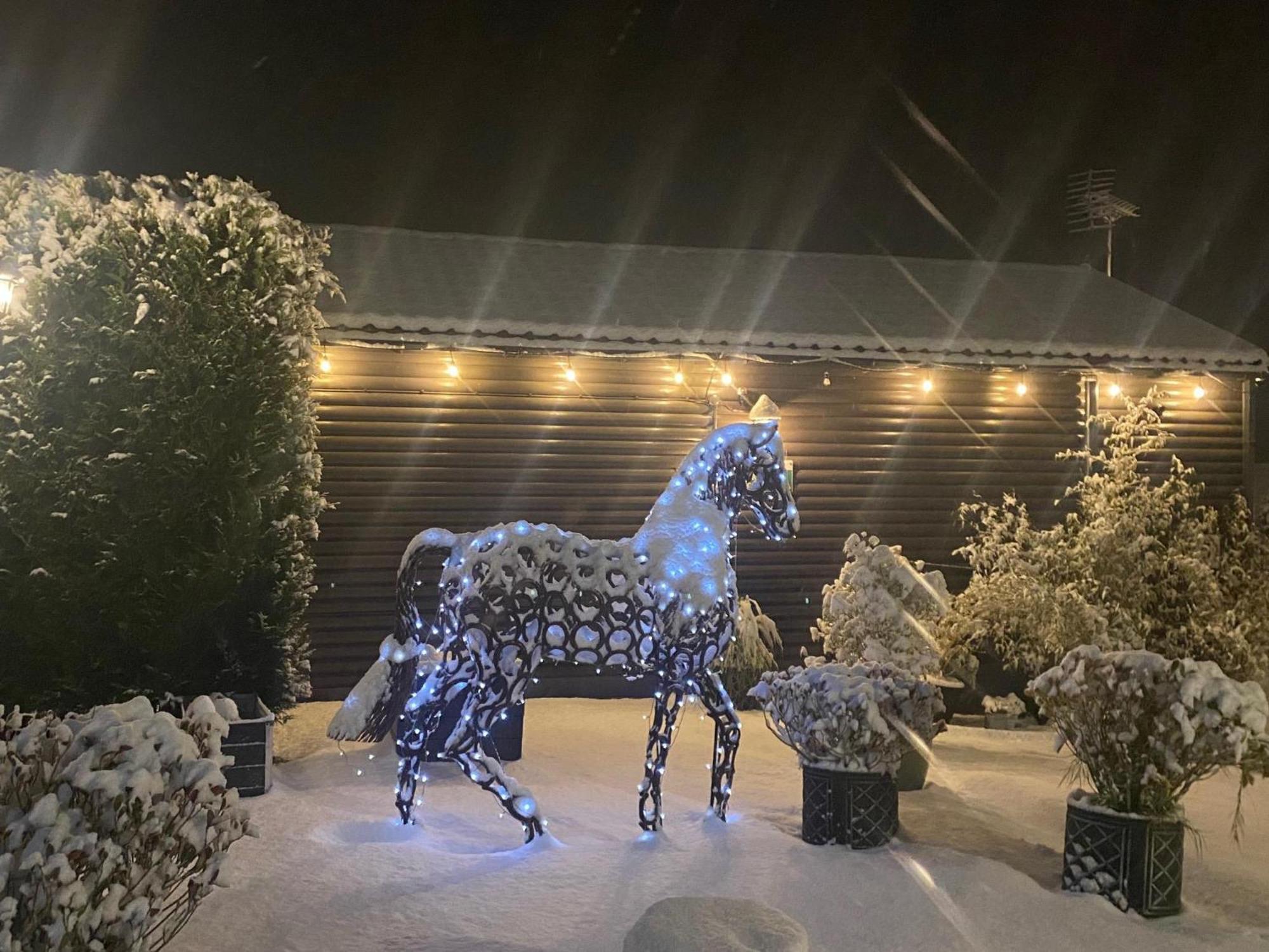 Fairview Farm Holiday Accommodation 14 Luxury Lodges, Cabins, Dog Friendly, Suitable For Couples, Families And Groups, Wedding Guests , Corporate Events, Sleeps 2-65 Guests In Ravenshead, Nottingham Near Sherwood Forest, Set In 88 Acres Bagian luar foto